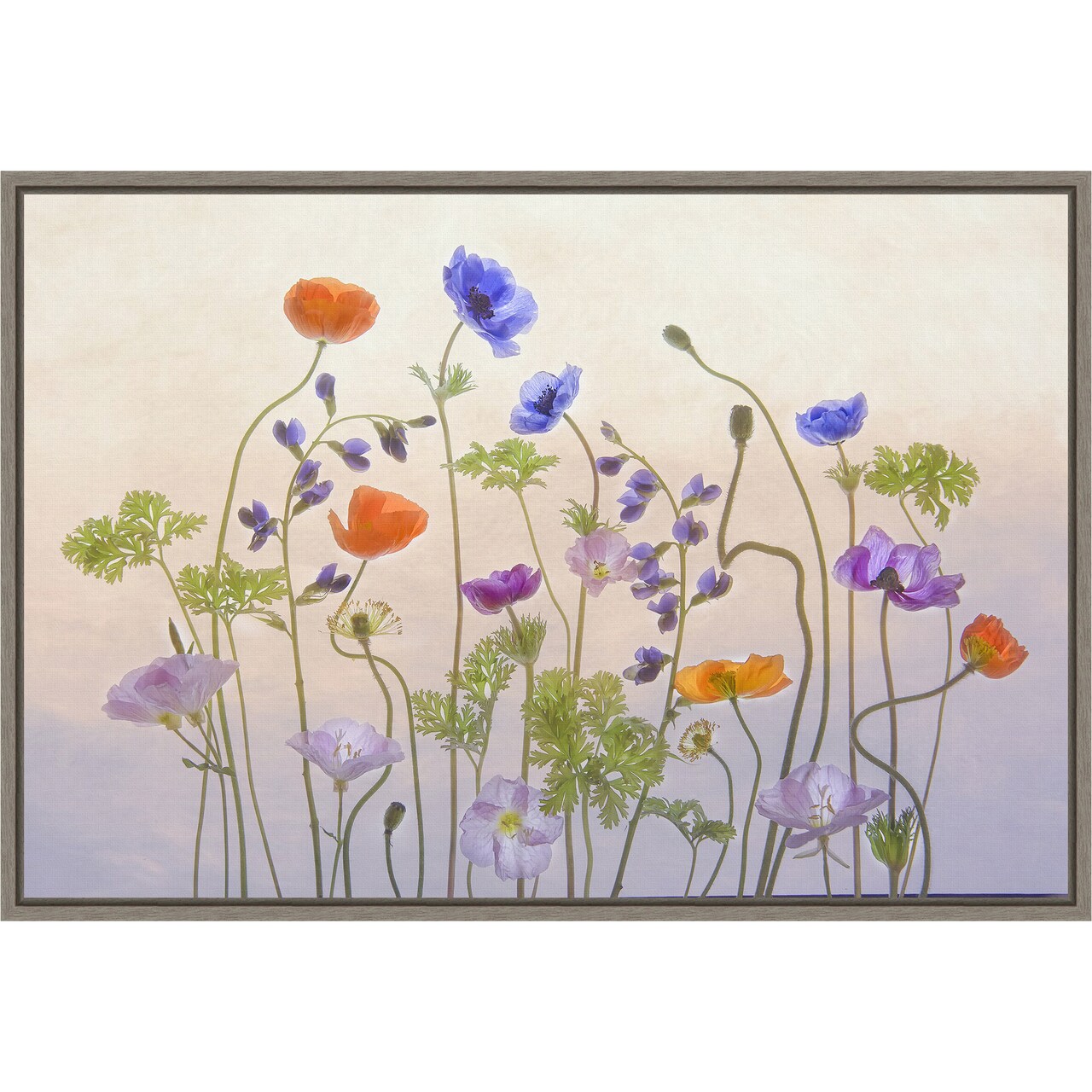 Poppy & Anemone (Flowers) by Catherine W. 23-in. W x 16-in. H. Canvas Wall Art Print Framed in Grey